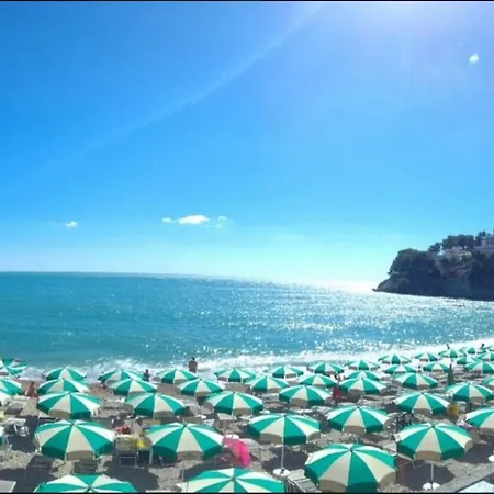 Relax Pugnochiuso *