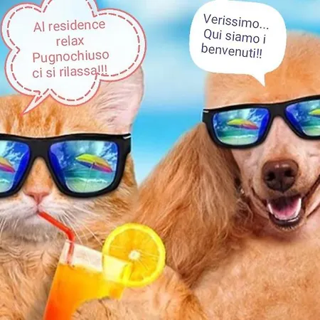 Relax Pugnochiuso Apartment *
