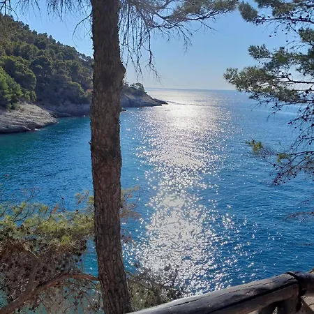 Relax Pugnochiuso Apartment Pugnochiuso