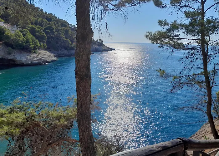 Relax Pugnochiuso Apartment Pugnochiuso